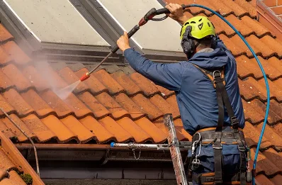 Démoussage et hydrofuge de toiture à Vaudesson